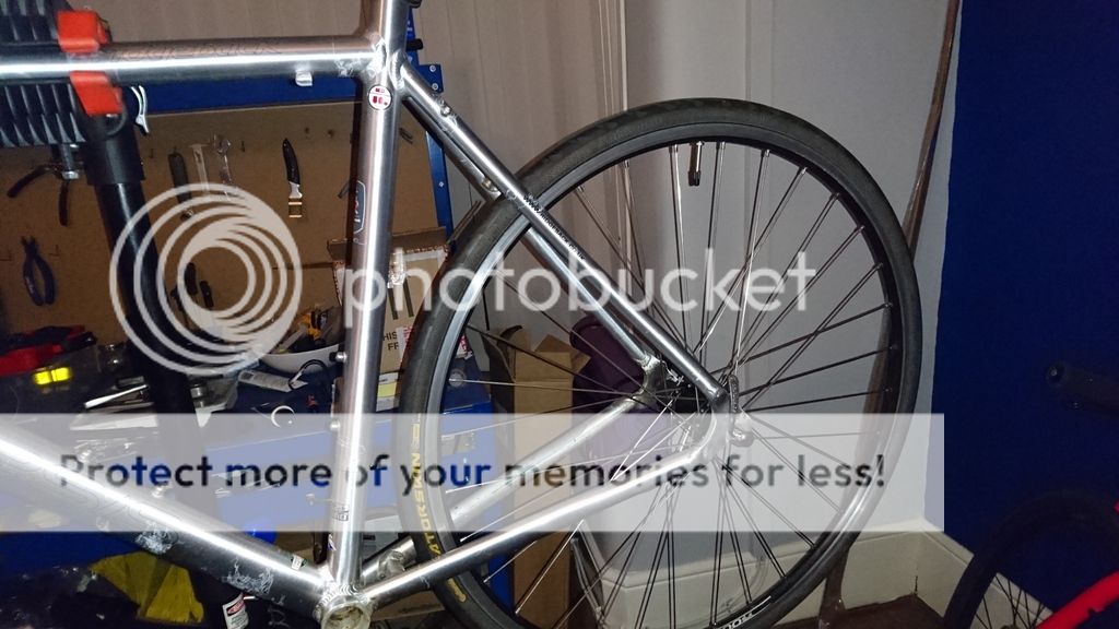 ridgeback genesis day 01